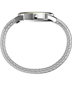 Easy Reader 35mm Expansion Band Watch