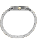 Easy Reader Date 38mm Expansion Band Watch